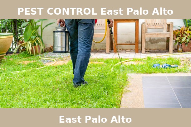 PEST CONTROL East Palo Alto
